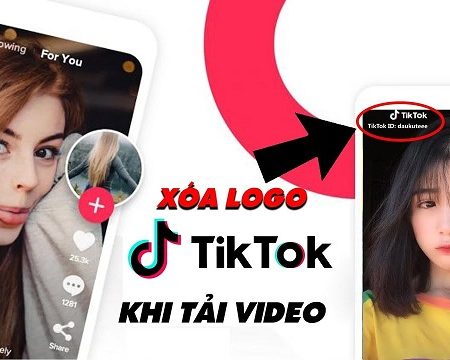 Snaptik app | Tải video TikTok không logo trên điện thoại