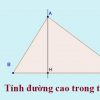 Các cách tính chiều cao hình tam giác cơ bản nhất