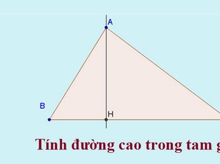 Các cách tính chiều cao hình tam giác cơ bản nhất