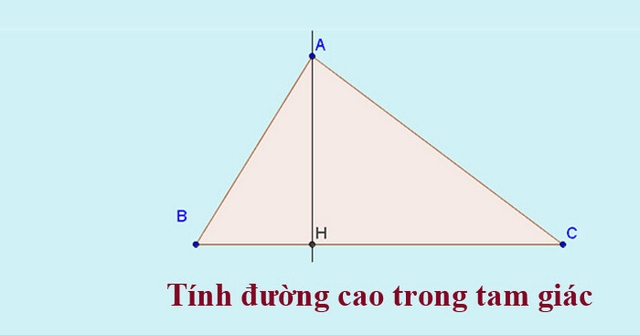 Định nghĩa về hình tam giác và đường cao 