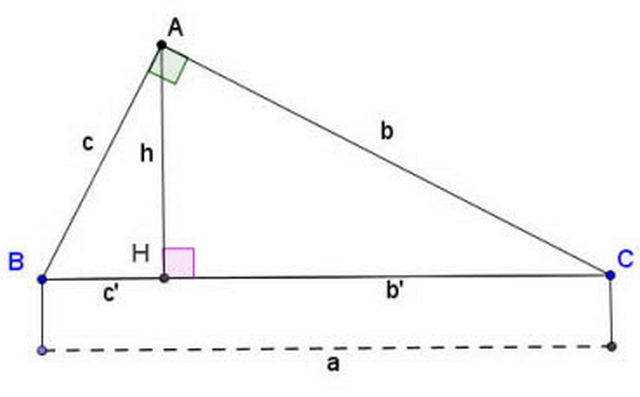 Đường cao là đường như thế nào  trong hình tam giác